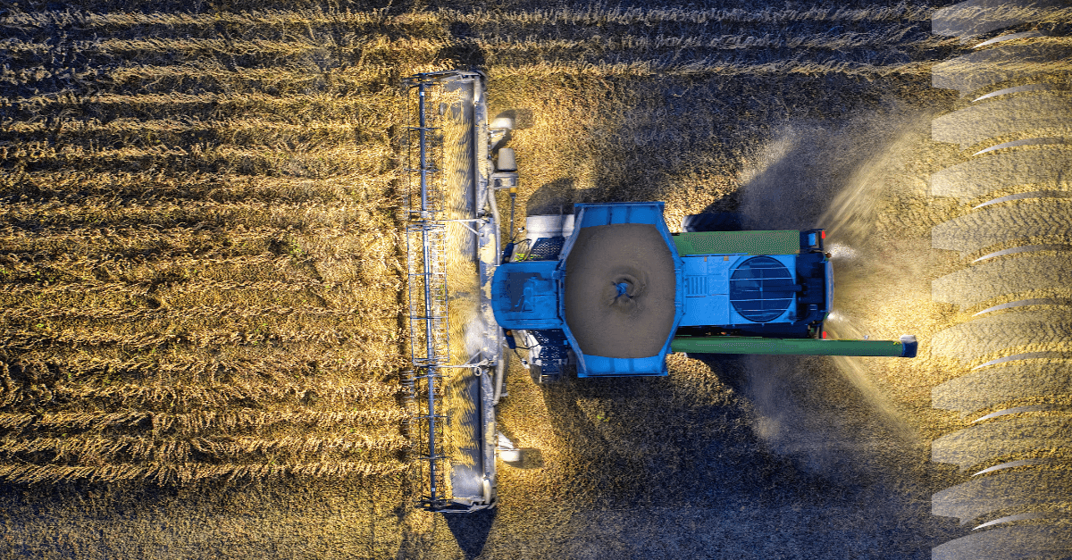 Agriculture